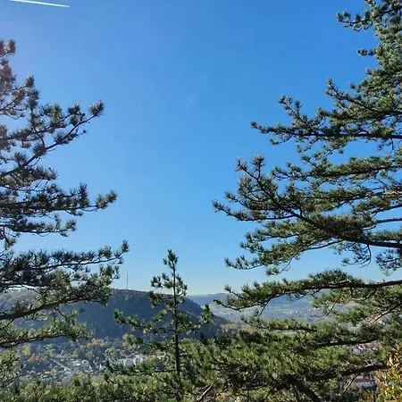 Tiny House Mit Romantischem Panoramablick über Und Saaletal Jena